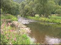 Zum vergr&ouml;&szlig;ern bitte klicken