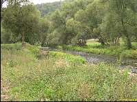 Zum vergr&ouml;&szlig;ern bitte klicken